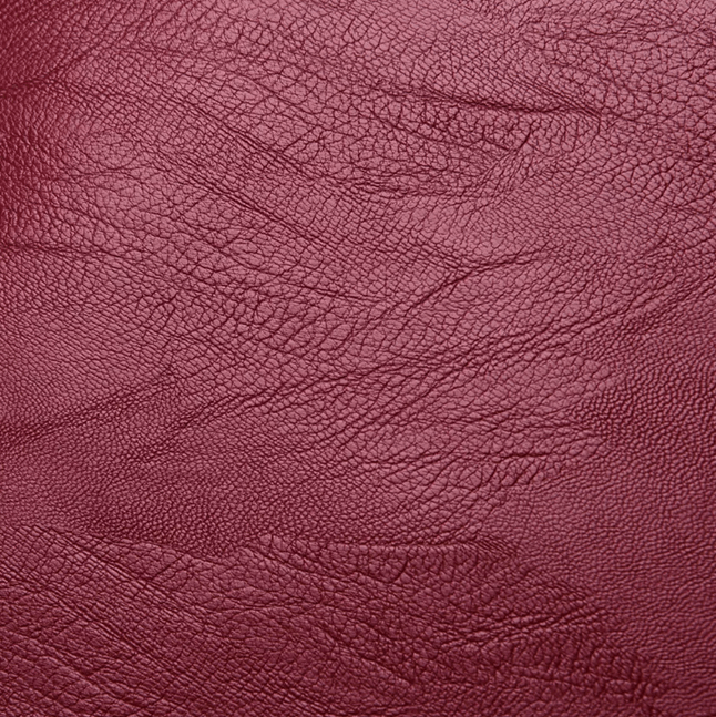 Sac à dos en cuir pour femmes