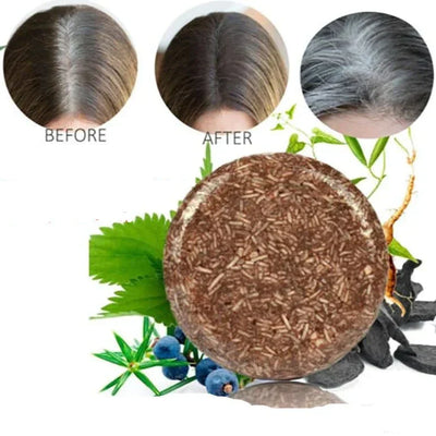Shampoing Cheveux Bio Eclipse